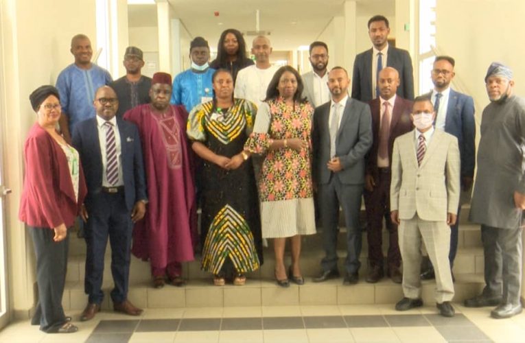 NiDCOM GETS THUMBS UP FROM ETHIOPIA DIASPORA AGENCY.