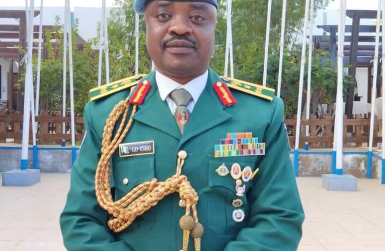 BREAKING BARRIERS: Nigerian Army Senior Officer Appointed As Deputy Force Commander In Minurso Western.