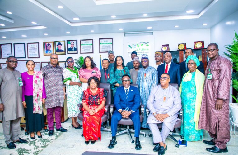 NiMet DG/CEO Hosts NIM President And Council Members.