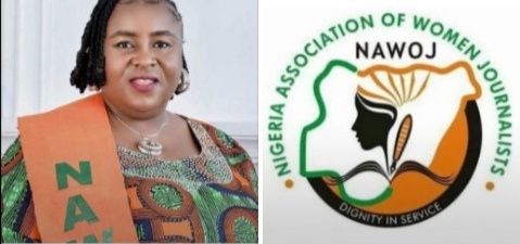 IWD: NAWOJ Tasks North-Central Govs, FCT Minister To Invest More In Women.