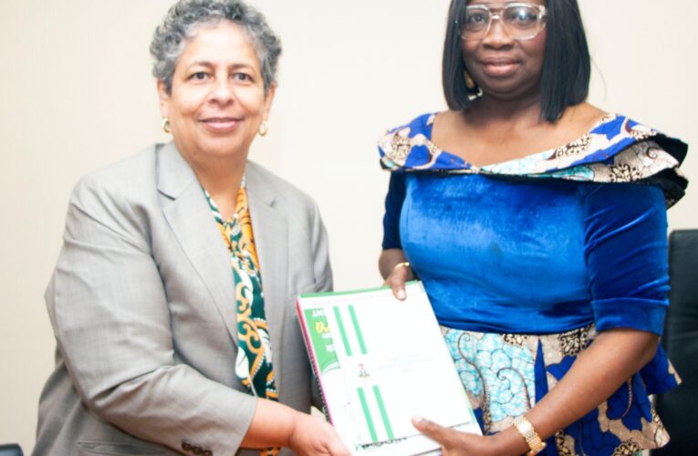 NIDCOM-USAID PARTNER ON DIASPORA ENGAGEMENTS.