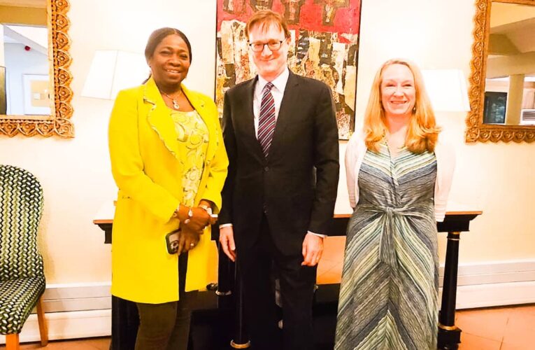 British Envoy Assures Of Safety Of Nigerians In The UK, As He Meets NIDCOM Boss.