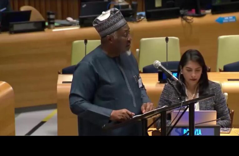 Honourable Minister Of Defence Of Nigeria Addresses The United Nations On Nuclear Disarmament.