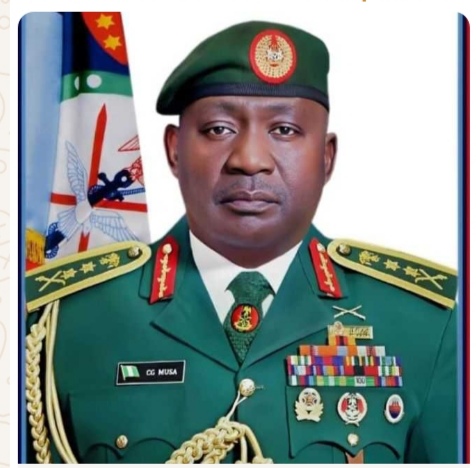 Chief Of Defence Staff Commiserates With People Of Borno State Over Devastating Flood.