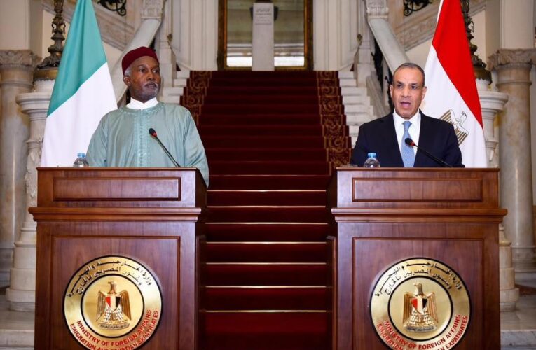 Nigeria And Egypt Elevate Relationship To Comprehensive Partnership, Waives Visa For Diplomats.